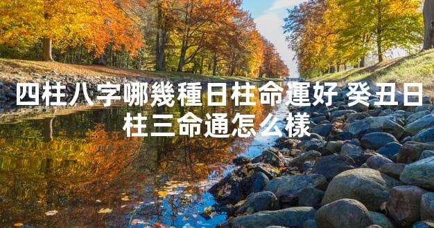 四柱八字哪幾種日柱命運好 癸丑日柱三命通怎么樣